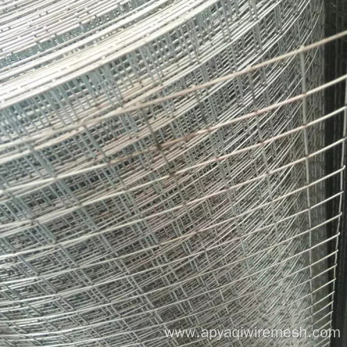 hot dip electro galvanized welded wire mesh